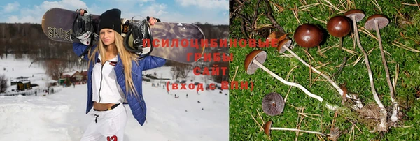 a pvp Арсеньев